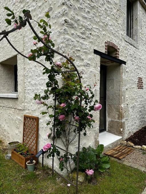 Gite Du Chat Roux La Chapelle-Saint-Martin-en-Plaine Exterior photo